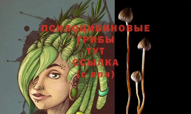 Псилоцибиновые грибы MAGIC MUSHROOMS  KRAKEN   Барабинск 